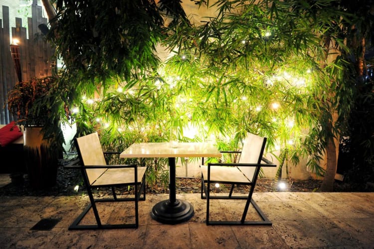 Evening dining